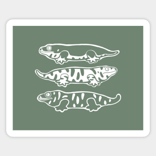 Leachianus Gecko, Leachie. For reptile lovers Sticker